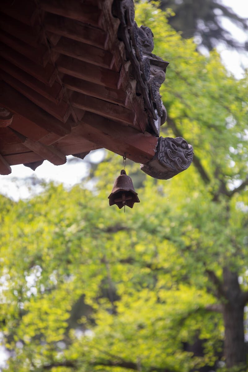 Judicial Budget Oversight