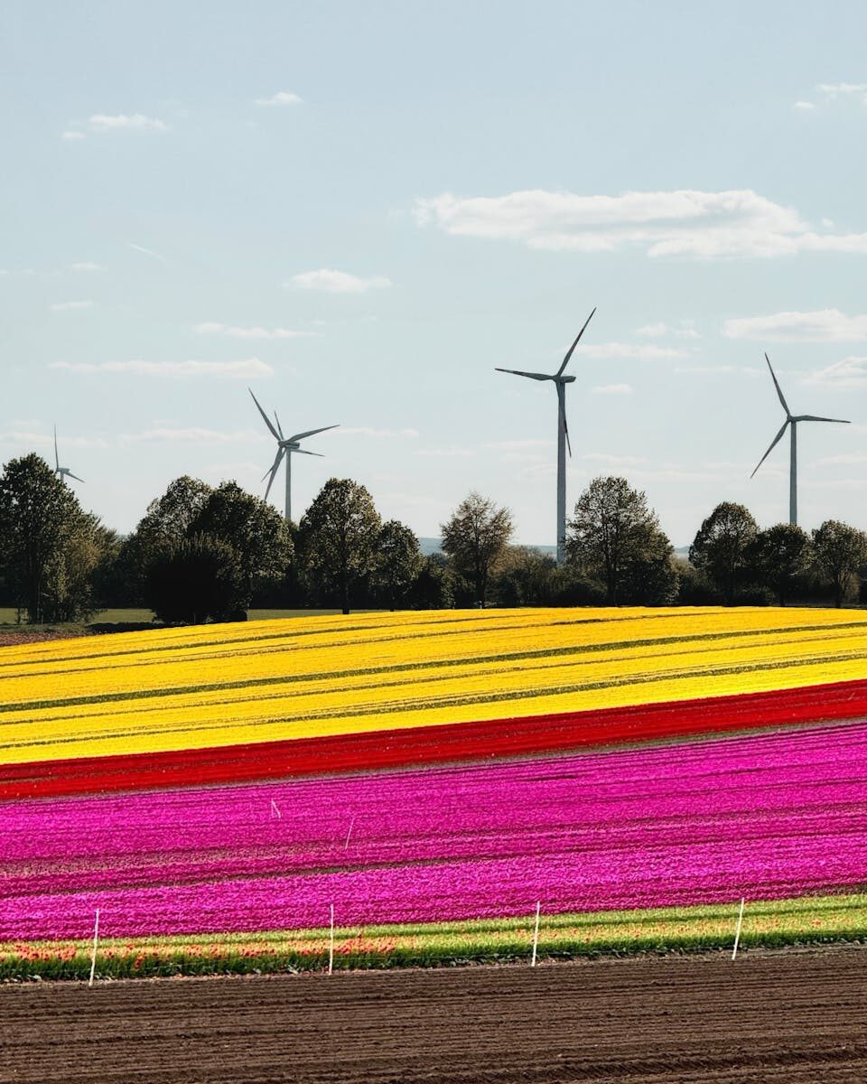 Legal Documentation for Licensing and Permits